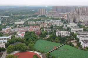 4月22日深圳新房住宅成交47套 二手房住宅成交167套